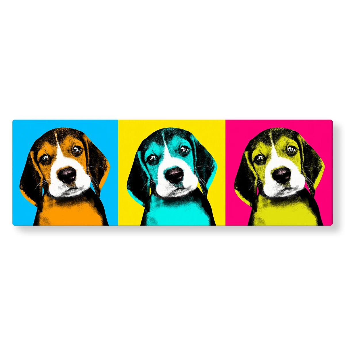 Tableau Pop Art Animaux (3 cases) - Studio Pop Art